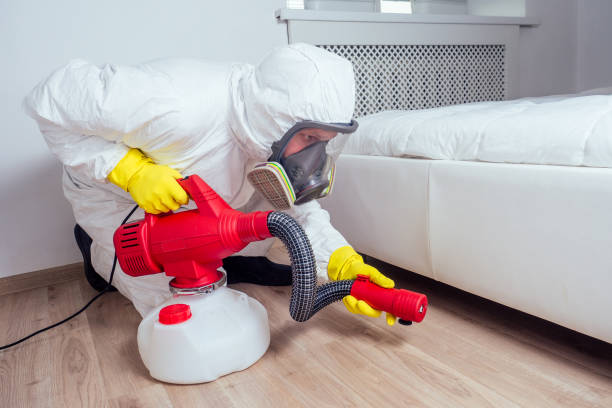 Best Wildlife Control Services  in Soda Springs, ID