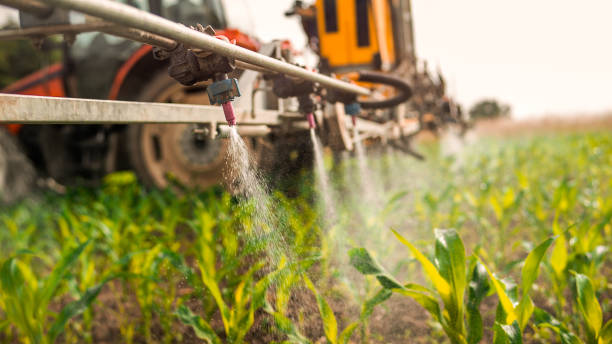 Best Pest Prevention Services  in Soda Springs, ID